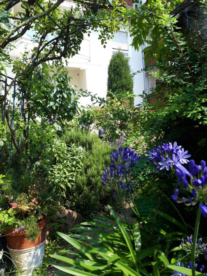 Residenz Am Berg Lejlighed Leimen  Eksteriør billede