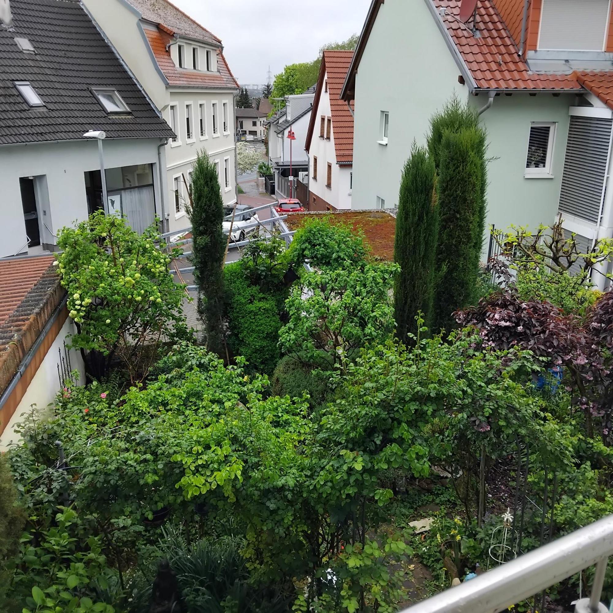 Residenz Am Berg Lejlighed Leimen  Eksteriør billede